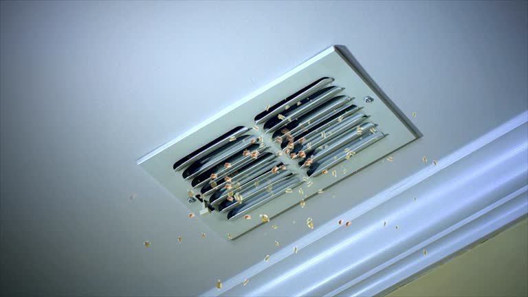 Best Residential Air Duct Cleaning  in Diablo Grande, CA