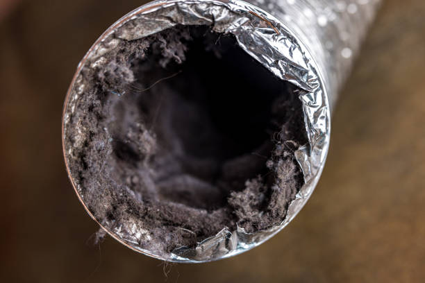 Best Air Duct Mold Removal  in Diablo Grande, CA
